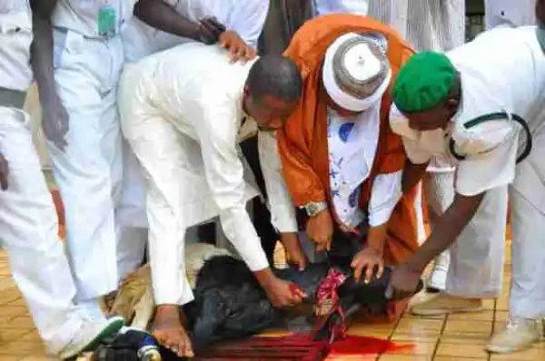 5 Interesting Facts About The Sallah Festival You All Don’t Know